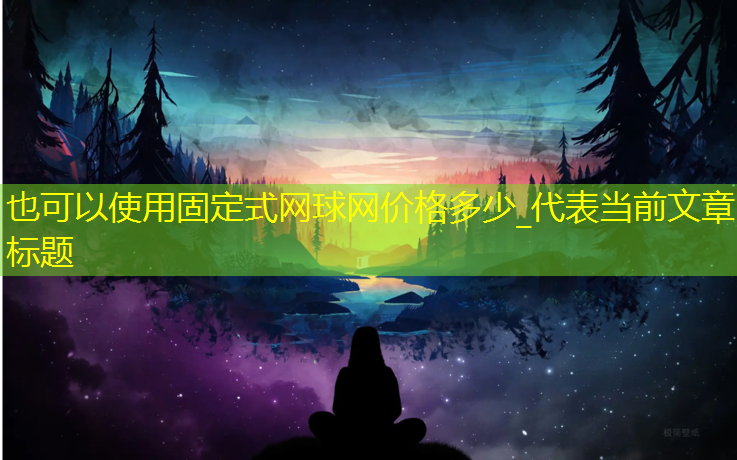 固定式网球网价格多少_