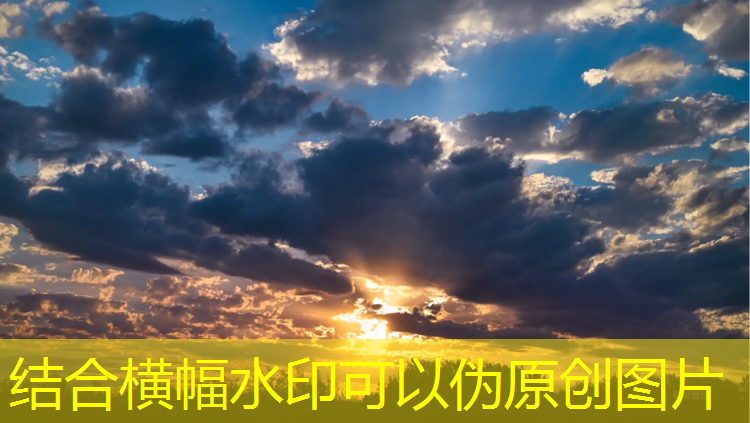 网球网子顺序排列