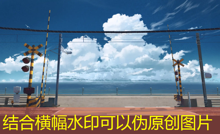 跆拳道护腿一号护具