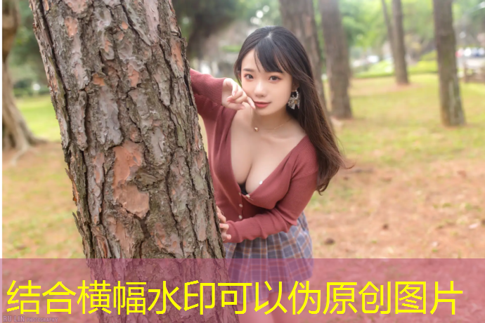 羽毛球网球网架