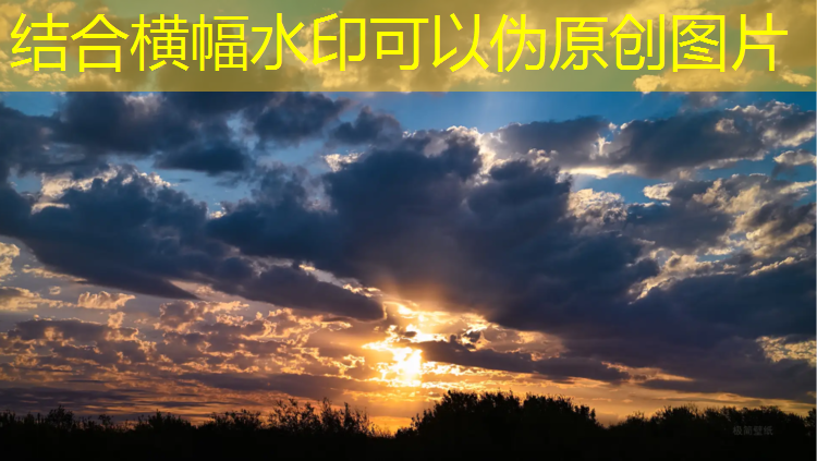 兴宾区塑胶跑道维修