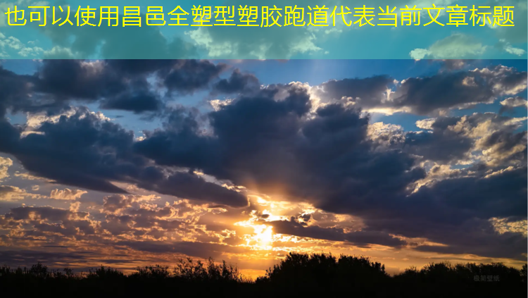 昌邑全塑型塑胶跑道