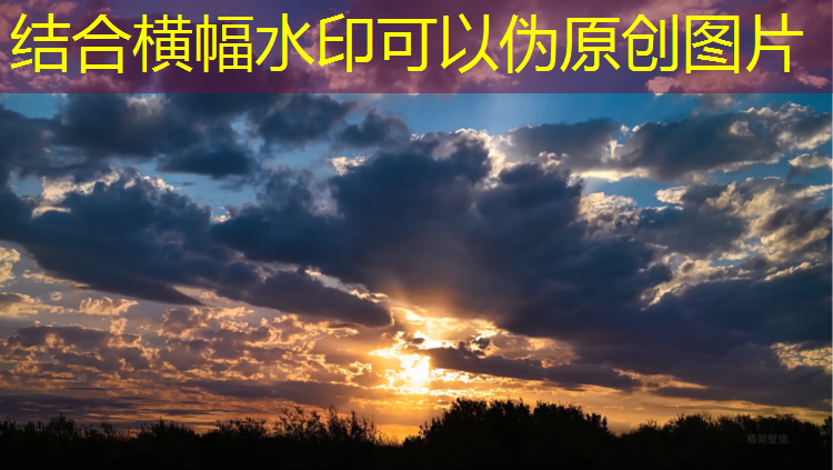 塑胶跑道施工信息查询表
