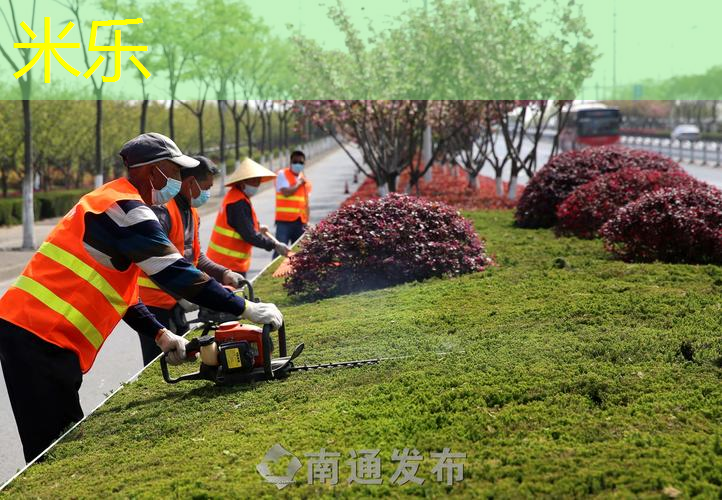 网球拍的西式握拍方法