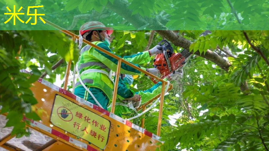 mile·米乐m6：深圳租借网球拍的地方有哪些