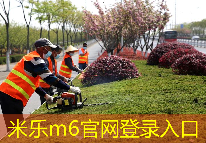 mile米乐m6官网：大人玩的网球拍子叫什么