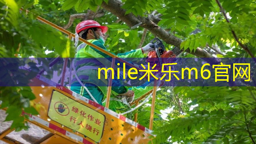 mile米乐m6官网：网球拍如何自己配线教程