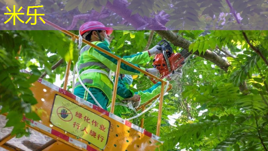 米乐m6官网登录入口：用木头如何做网球拍架子