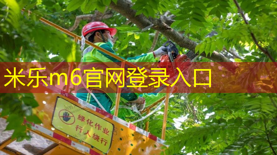 米乐m6官网登录入口：威尔逊网球拍哪款经典