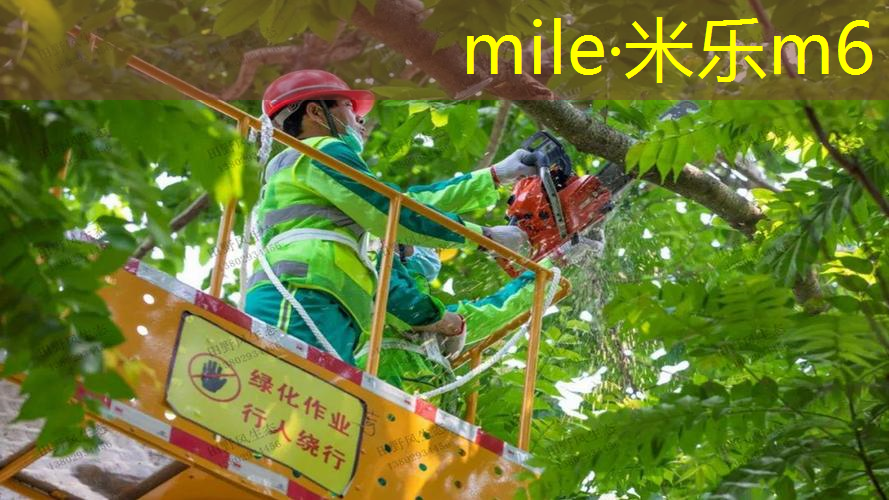 米乐m6官网：新的网球拍要缠手柄么