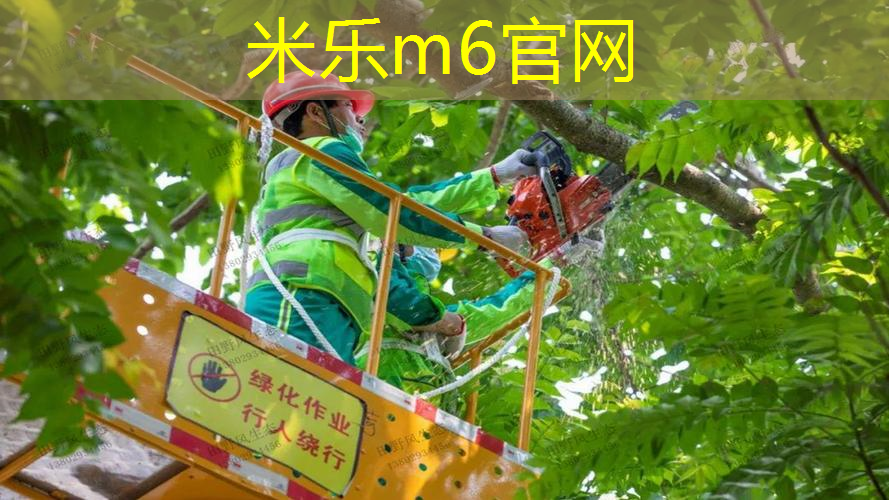 mile米乐m6官网：男子从网球拍穿过的英文