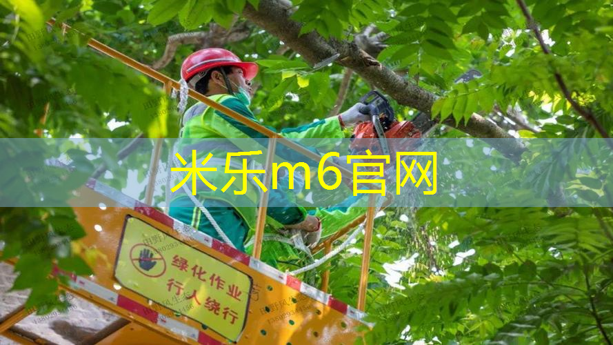 米乐m6官网登录入口：网球拍与底座的收纳包
