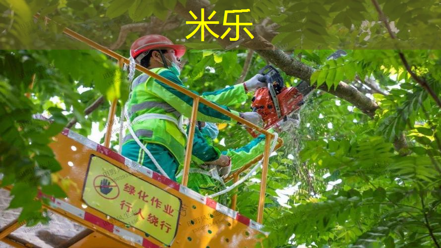 网球拍亲子训练器怎么用