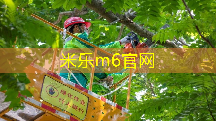 mile·米乐m6：网球拍拍羽毛球怎么选好
