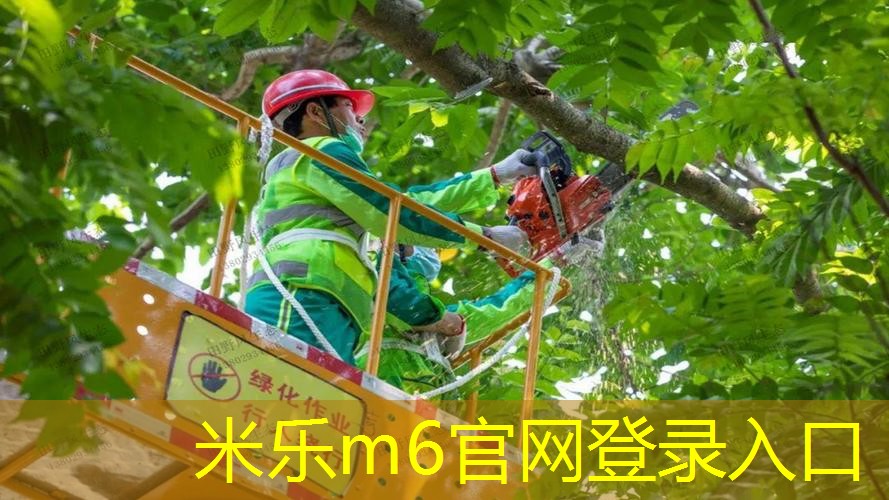 米乐m6官网：威尔逊2017海宁网球拍