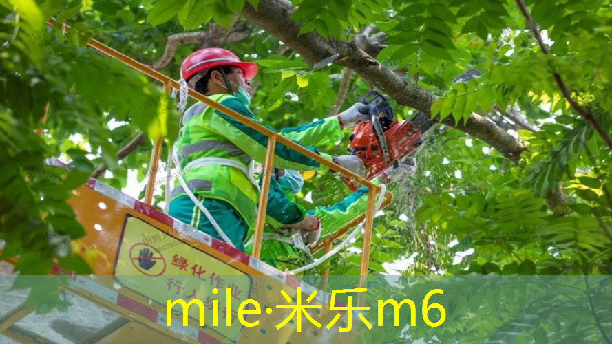 米乐：百宝力所有型号网球拍