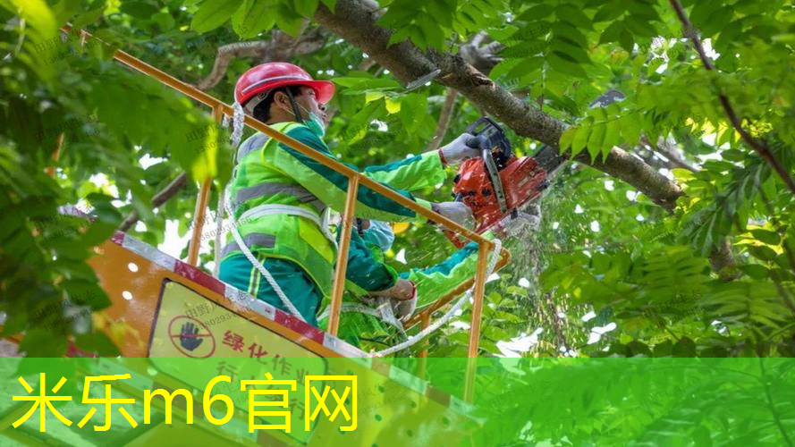 mile·米乐m6：网球拍没上手胶怎么打的