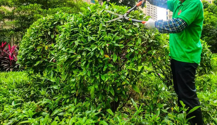 米乐m6官网：网球拍闲置线会掉磅数吗_