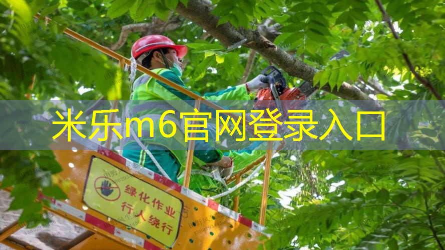 3毫米硅pu球场施工时间