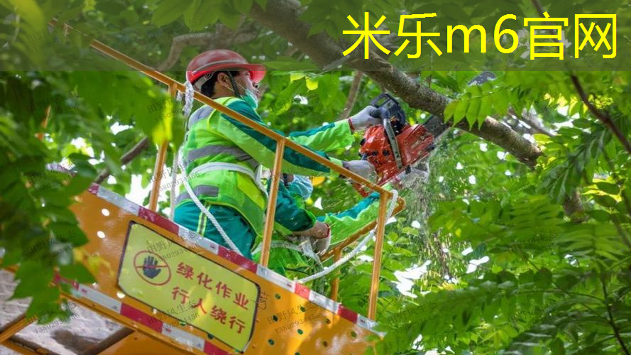 米乐m6官网：彩虹般的色彩，营造快乐氛围的室外儿童滑梯设计！