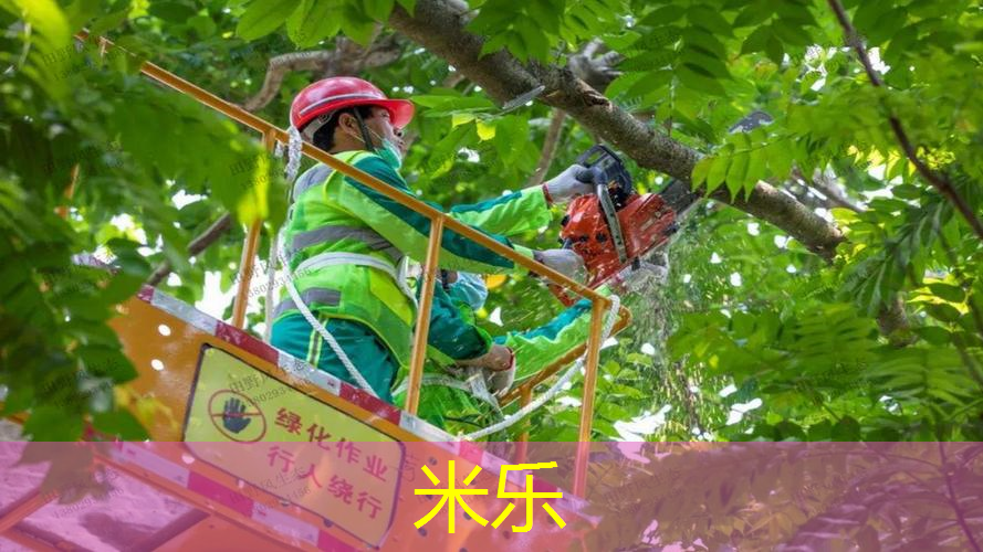 米乐：乒乓球台上球处理