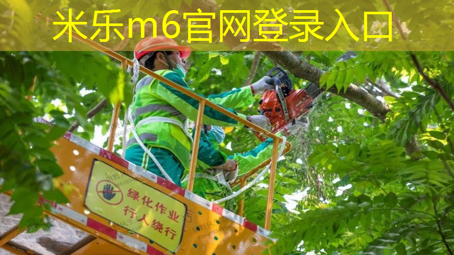 自然之美与健康结合——探索绿色室外体育健身器材的奇妙之处！