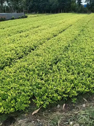 冬天室内健身好冷