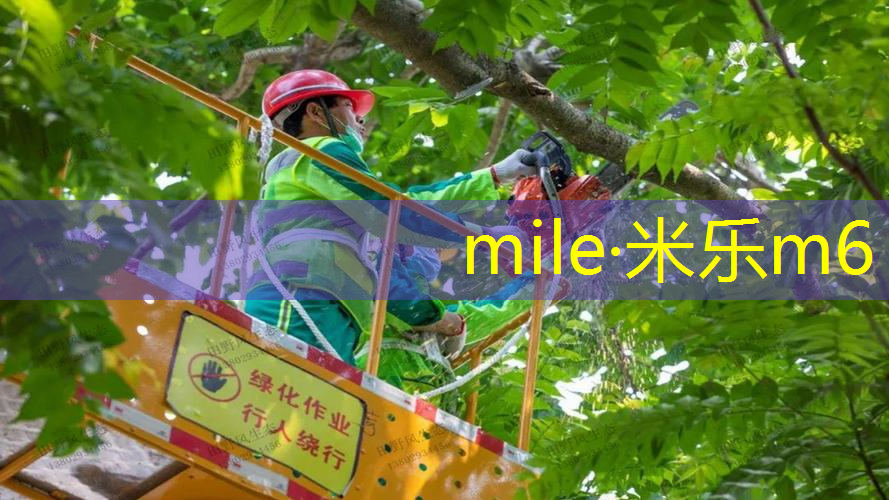 米乐m6官网：提升健身体验的高端室外体育用品健身器材，如今大热！