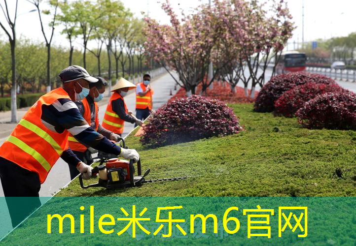 网球拍的西式握拍方法