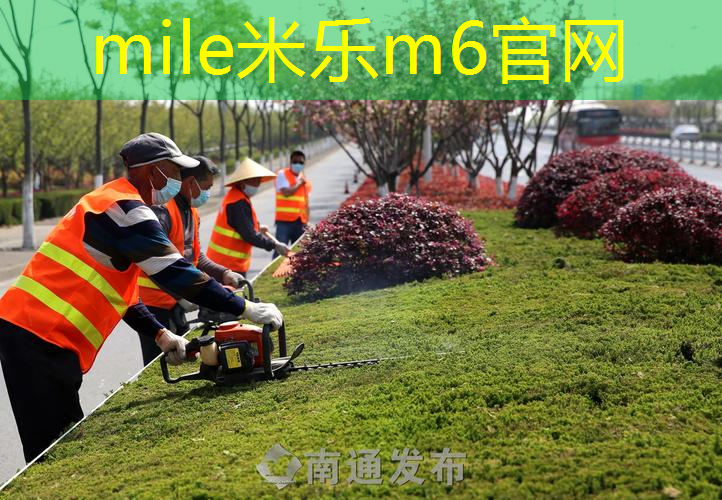 大人玩的网球拍子叫什么