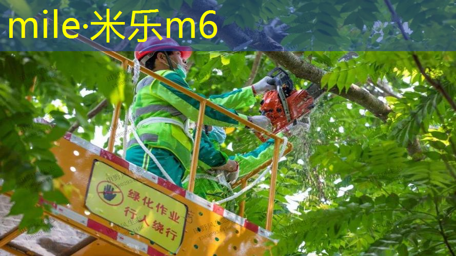 网球拍如何自己配线教程