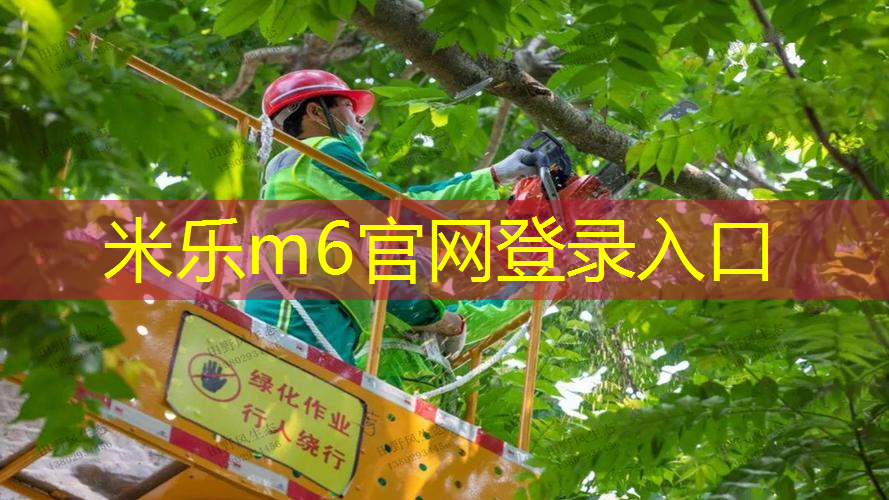用木头如何做网球拍架子