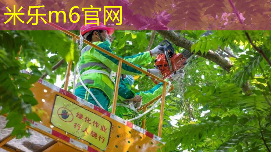 网球拍左手持拍缠绕方法