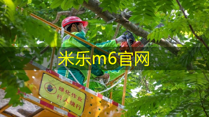 威尔逊网球拍哪款经典