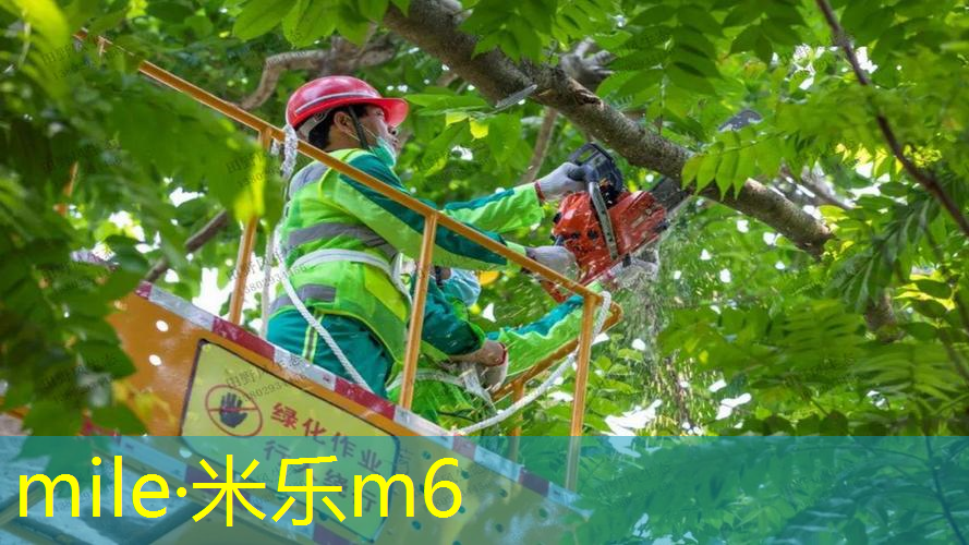 男子从网球拍穿过的英文