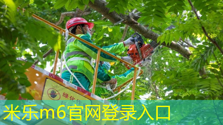 网球拍亲子训练器怎么用