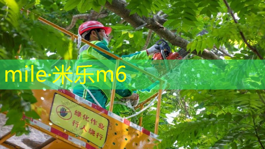 网球拍拍羽毛球怎么选好