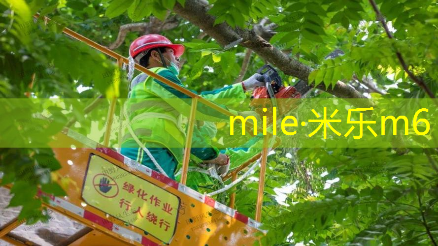 网球拍打多久换网线好