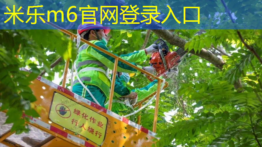 进口带弹力绳的网球拍