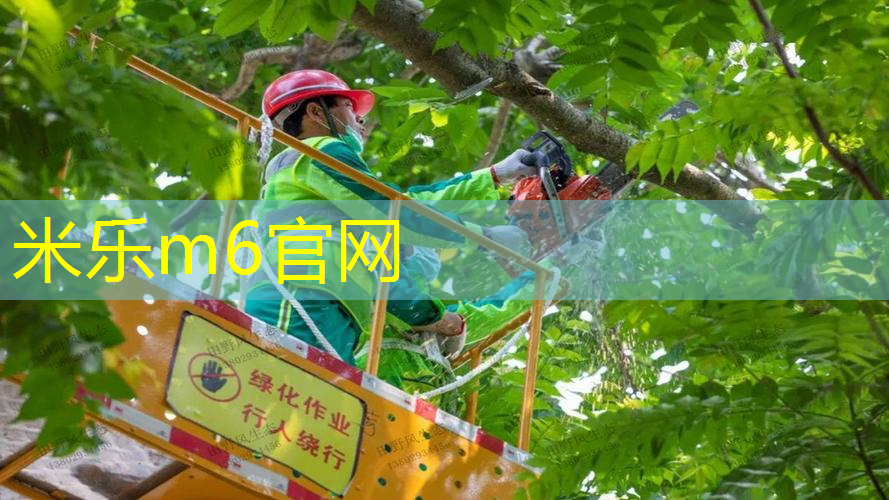 百宝力所有型号网球拍