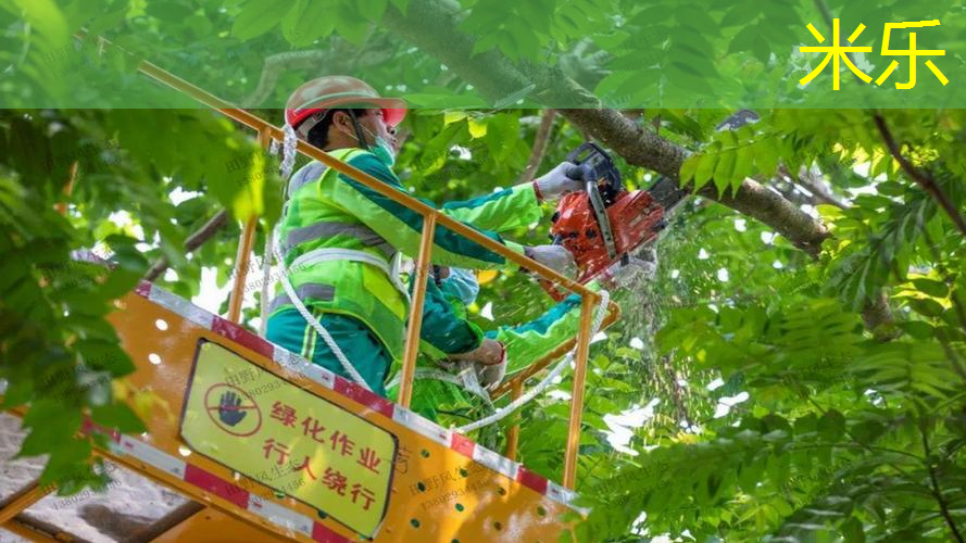 3毫米硅pu球场施工时间