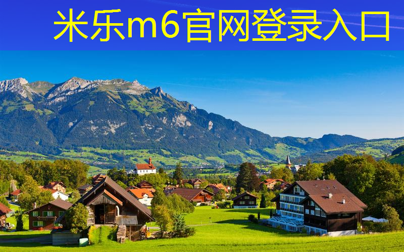 乒乓球台的特点