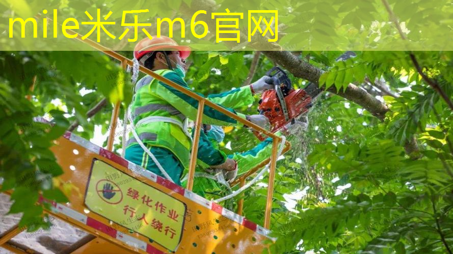 彩虹般的色彩，营造快乐氛围的室外儿童滑梯设计！