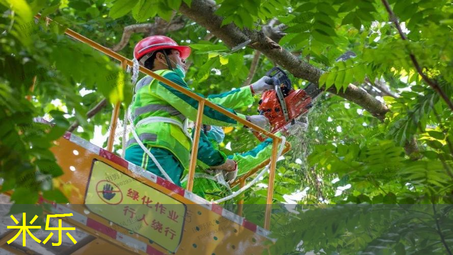 自然之美与健康结合——探索绿色室外体育健身器材的奇妙之处！